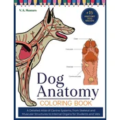 Dog Anatomy Coloring Book