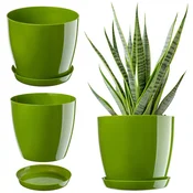 KADAX Cvetlični lonec s krožnikom, plastičen, zelen, 18 cm