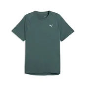 PUMA PWRTRAIN Training Tee Men, Sports, Herb Garden, 3XL