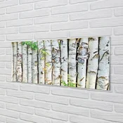 tulup.si Slika na akrilnem steklu Breza listi 140x70 cm 4 obešalnika