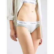Calvin Klein Underwear Klasične spodnje hlačke LV00QF8520 Siva