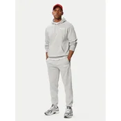 Reebok Trenirka Jerzy RK25742CCM Svetlo siva Regular Fit