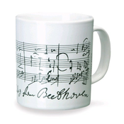 DP SKODELICA BEETHOVEN