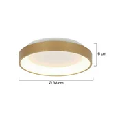 Steinhauer Stropna svetilka Ringlede LED, zlata, višina 6 cm, O 38 cm - Dnevna soba/jedilnica - Sodobni - zlato - Kovina