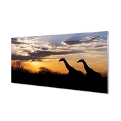 tulup.si Zidna obloga za kuhinju Žirafe drevo oblaki 140x70 cm