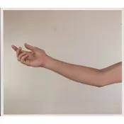 Spiritualized - Amazing Grace