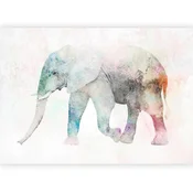 artgeist Fototapeta Painted Elephant, 250x175cm