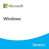 Windows 10 Enterprise LTSC 2021 ESU Year 2 (2028 - 2029)