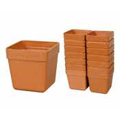 eoshop KAKTUS lahek plastični cvetlični lonec 6x6cm 14ks