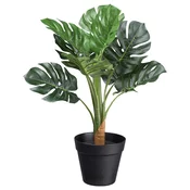 Veštačka Biljka Splitphilodendron