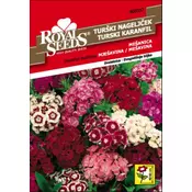 SEME ROYAL SEEDS 37 Turški nageljček, mešanica