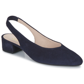Gabor  Balerinke 2152016  pisana