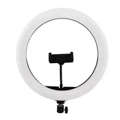 RING FILL LIGHT 12INCH LC330
