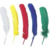 Indijsko perje 50 kosov/17-19 cm