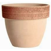 GLINEN LONEC PALADIO fi14cm