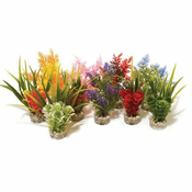 Rosewood Rastlina Nano Fiesta 14cm