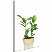 Slika - Plant In Pot (1 Part) Vertical 80x120