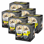 Sheba Perfect Portions s piščancem za odrasle mačke 6x(3x75 g)