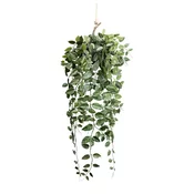 Modern Living Umetna Rastlina Epipremnum Ii -Paz-