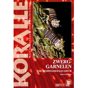 Animalbook Pritlikave kozice v morskem akvariju