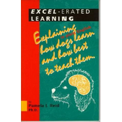 Excel-Erated Learning