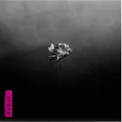 Little Simz - Lotus (2 LP)