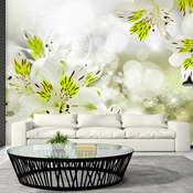 Foto tapeta - Southern Princess 250x175