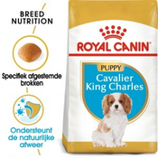 Royal Canin Suva hrana za pse Cavalier King Charles Puppy 1.5kg.