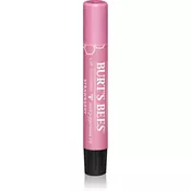 Burt´s Bees Lip Shimmer sijaj za ustnice odtenek Strawberry 2 6 g