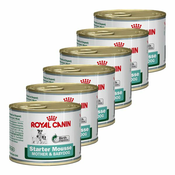 Royal Canin Starter Mousse 6x195 g