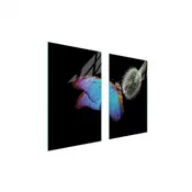 shumee STEKLENA ZAŠČITNA PLOŠČA ZA ŠTEDILNIK 75x52 BUTTERFLY