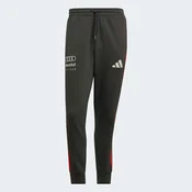 ADIDAS PERFORMANCE Sportske hlace Audi Formula One Team DNA tamo siva / crvena / bijela