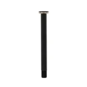 DT Swiss Plug In RWS Road 100x12mm Vtična os