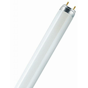 INVITAL UV žarnica 15W T8, G13 (za TMC)
