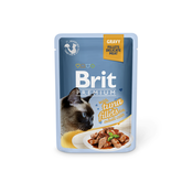 Brit Premium | Adult Fileji tunine v omaki
