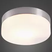 Globo Opal zidna/stropna lampa (48401)