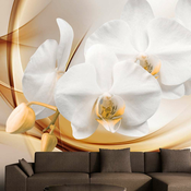 Foto tapeta - Orchid blossom 400x280