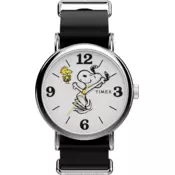 TIMEX TW2Y60900