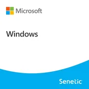 Windows 10 Enterprise LTSB 2016 ESU Year 3 (2028 - 2029)