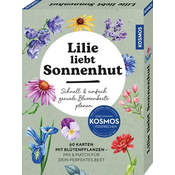 Lilie liebt Sonnenhut