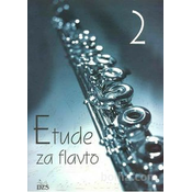 ZUPAN: ETUDE ZA FLAVTO 2