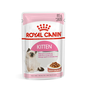 Royal Canin Kitten Gravy - mokra hrana za macice 12 x 85 g