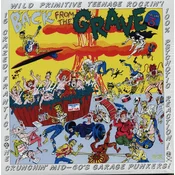 Various Artists - Back From The Grave Volume 5 (Reissue) (LP)