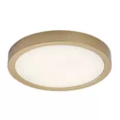 Rabalux 75079 - LED stropna svetilka za kopalnico SHAUN PLUS 30W/230V, premer 30 cm, IP44, zlata