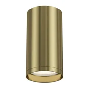 Maytoni Tehnični fokus S Stropna svetilka Maytoni C052CL-01BS