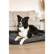 Paws & Whiskers Krevet za ljubimce Sally Dog, 55x75x8 cm, Antracit
