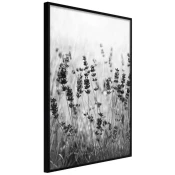 Poster - Shadow of Meadow 40x60