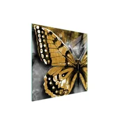 shumee STEKLENA ZAŠČITNA PLOŠČA ZA ŠTEDILNIK 50x52 BUTTERFLY