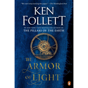 ARMOR OF LIGHT