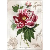 Interdruk - Puzzle Botanic Peony - 1 000 dijelova